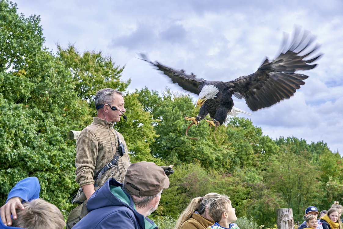 Flugschau im ErlebnisWald